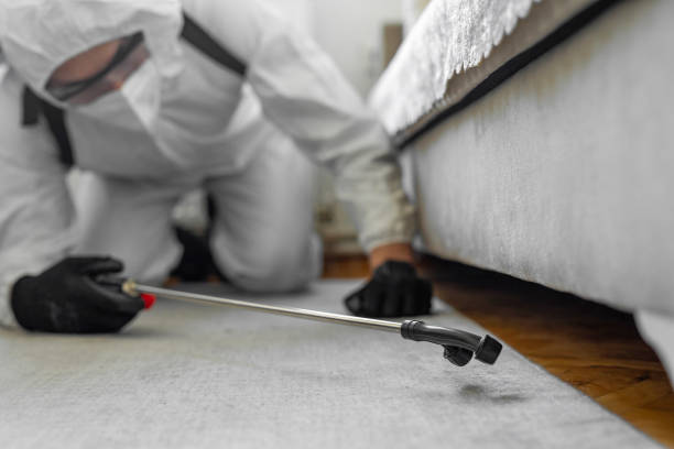 Professional Mosquito Control technician working in Elverta, CA