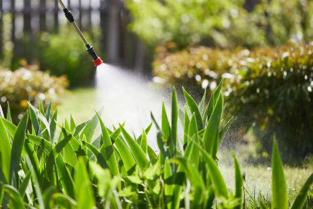 24/7 Emergency Mosquito Control experts in Elverta, CA